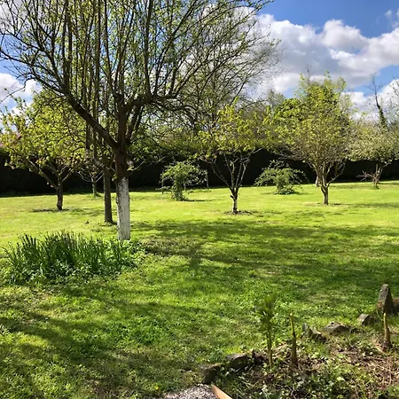 Le Petit Paradis De Marcelise Le Ponchel