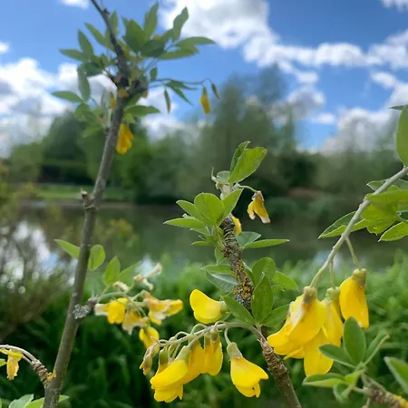 Le Petit Paradis De Marcelise 4*