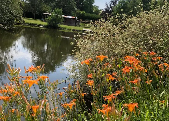 Le Petit Paradis De Marcelise Affittacamere 4*